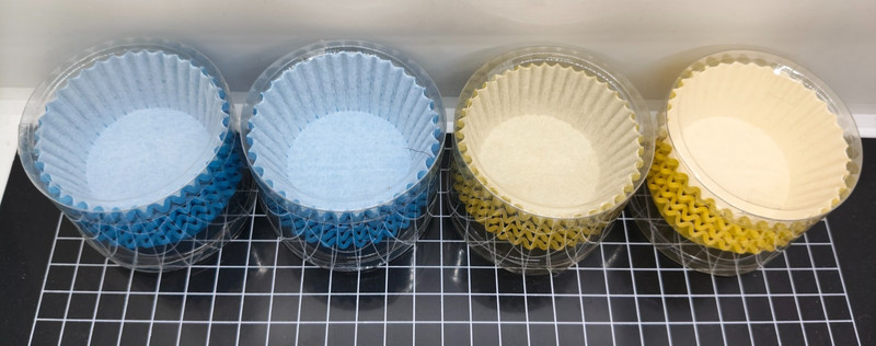 Lot Of Blue & Yellow Cupcake Cups Or Liners in 100 Pc Each with 4.5 cm Diameter gallery