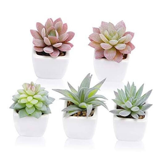 Artificial Succulent Plants in Pots, Fake Succulent Small Potted Faux