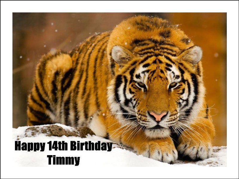 Tigers Edible Cake Topper Icing Birthday Cake Animal Decorations (2 Sizes)