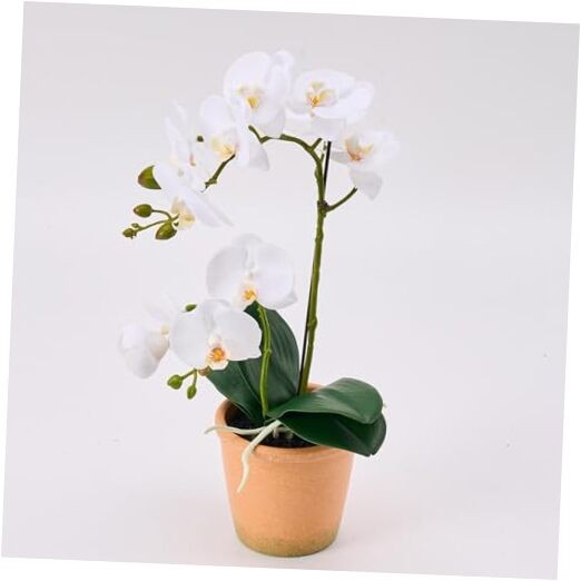 Artificial Real Touch Orchid Plant – 15" Faux Phalaenopsis in Pot 15“ 1 White gallery