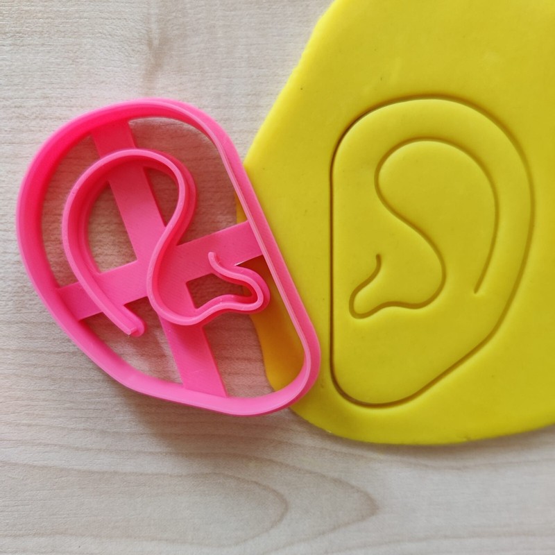 Anatomy Cookie Cutter Set, Medical Student Gift, Halloween Biscuit Stamp Stencil gallery