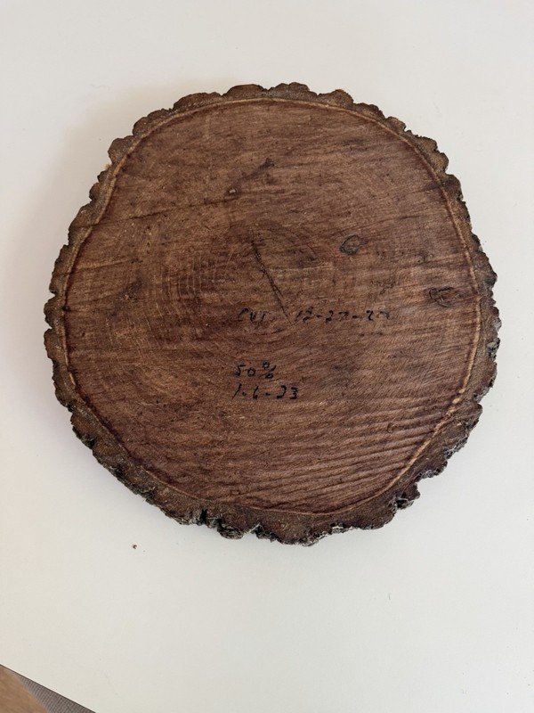 Wood Log Slice Slab for Cake Stand, Charcuterie, Food Serving, or Center Piece gallery
