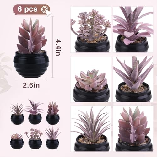 6 Pcs Purple Artificial Succulents Valentine's Day in Purple Pink-black Pot gallery