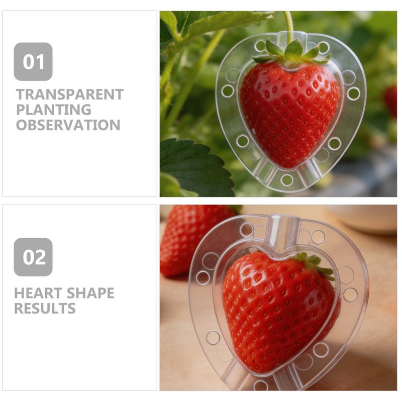 6 Pcs Strawberry Shaping Mold Molds Fruit Garden Mould Tool Plant gallery