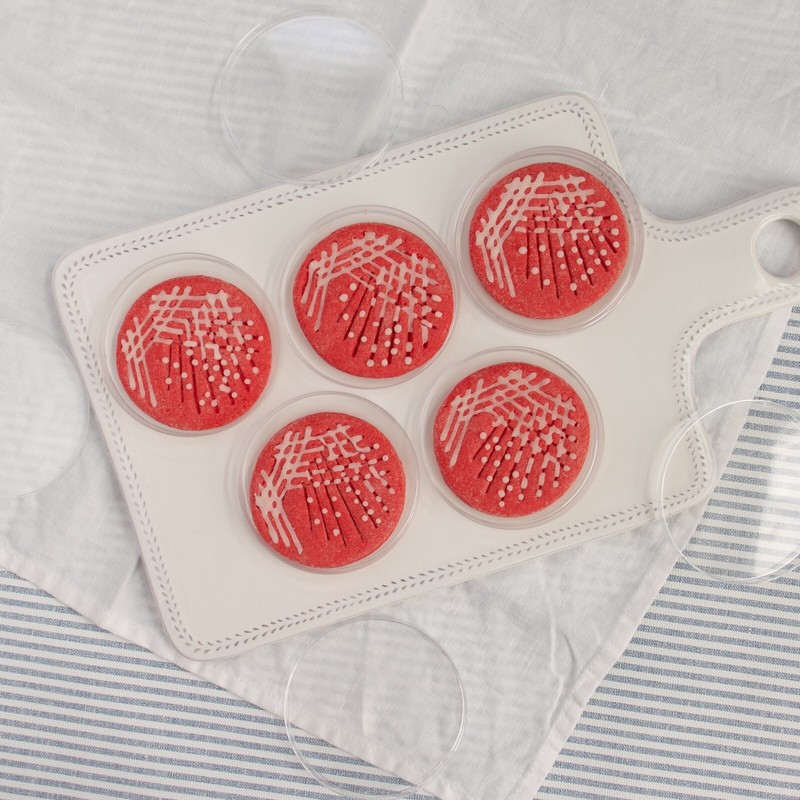 Quadrant Streak Petri Dish Cookie Cutter - cell culture laboratory microbiology gallery