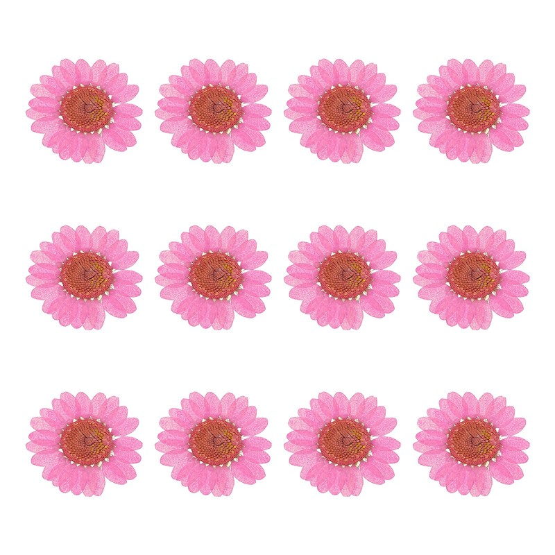 12Pcs Dried Pressed Flowers, Chrysanthemum Flowers for Nail Art, Rose Red