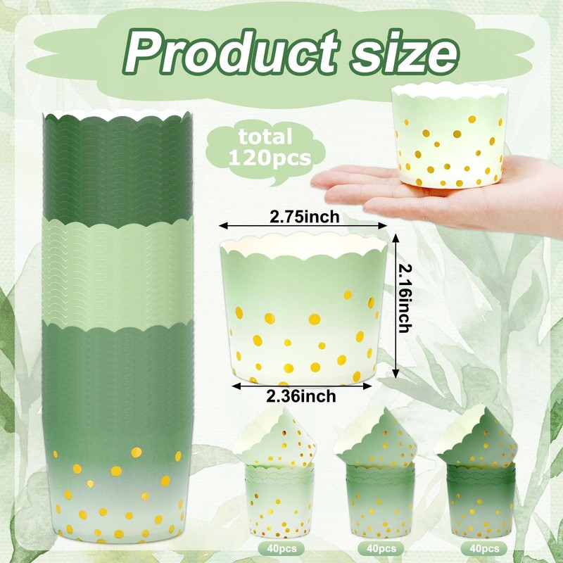 120 Pcs Sage Green Baking Cups Gradient Green Foil Gold Dots Cupcake Wrappers... gallery