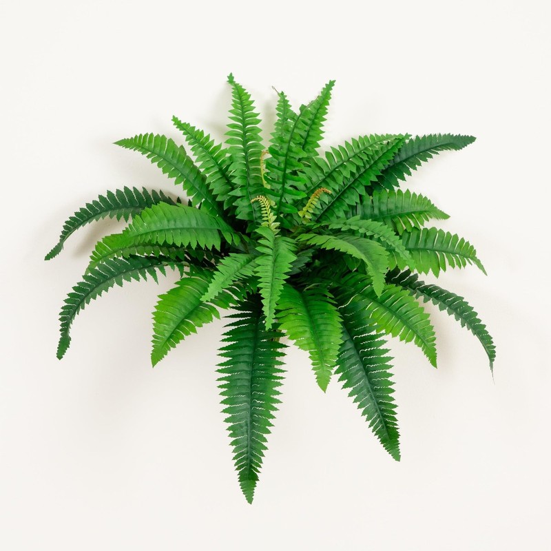 Nearly Natural 32In Boston Fern Set Of 2 - Fern Plants Flexible gallery