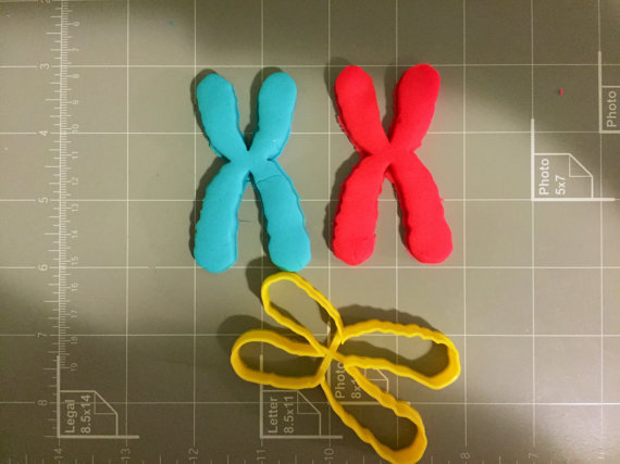 Chromosome Cookie Cutter – Choose Your Own Size