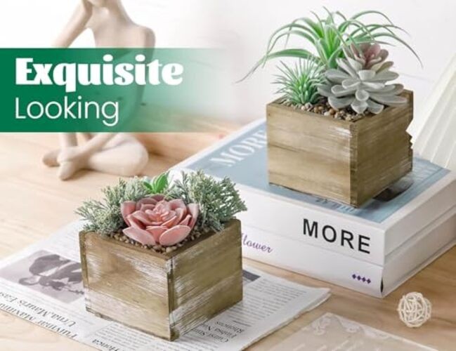 Pack Fake Plants Succulents Plants Artificial Cactus Plants in Wood Pots 2 gallery