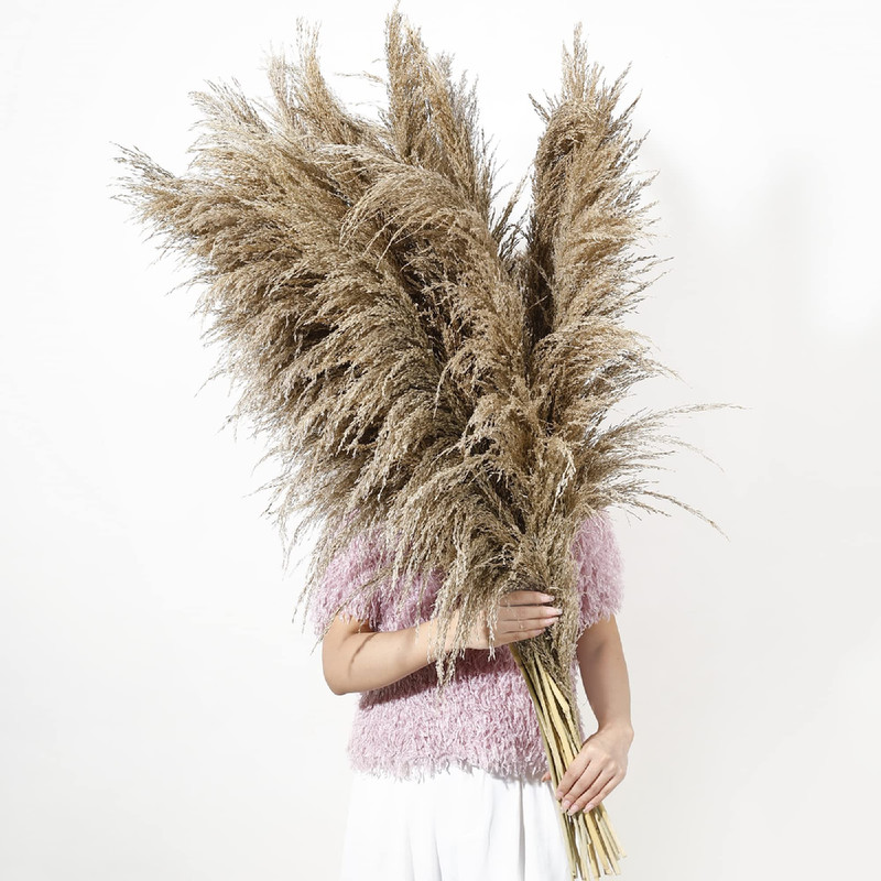 Wertuirk 9 Stems Pampas Grass Decor Tall 48/4 Ft Long Fluffy Dried Pompas Grass