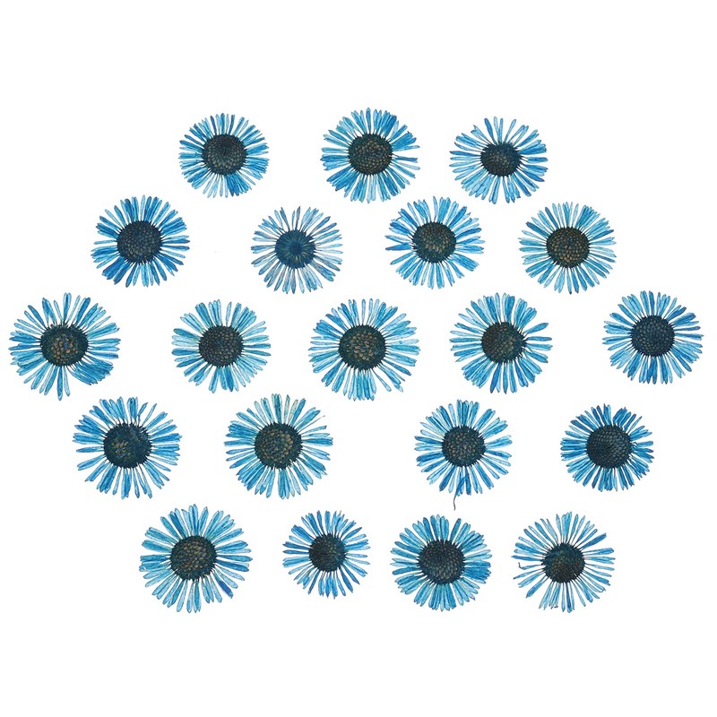60 Pcs Dried Pressed Flower for Resin DIY Decors Blue