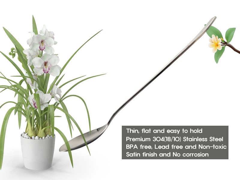 [2 Sets] [Made in Korea] Orchid Design Korean Style Sticky Rice Spoon Chopsti... gallery