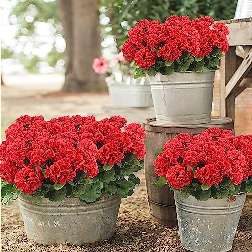 CISDUEO 4 Pcs Artificial Geranium Flowers for Outdoors Silk Geraniums Red gallery