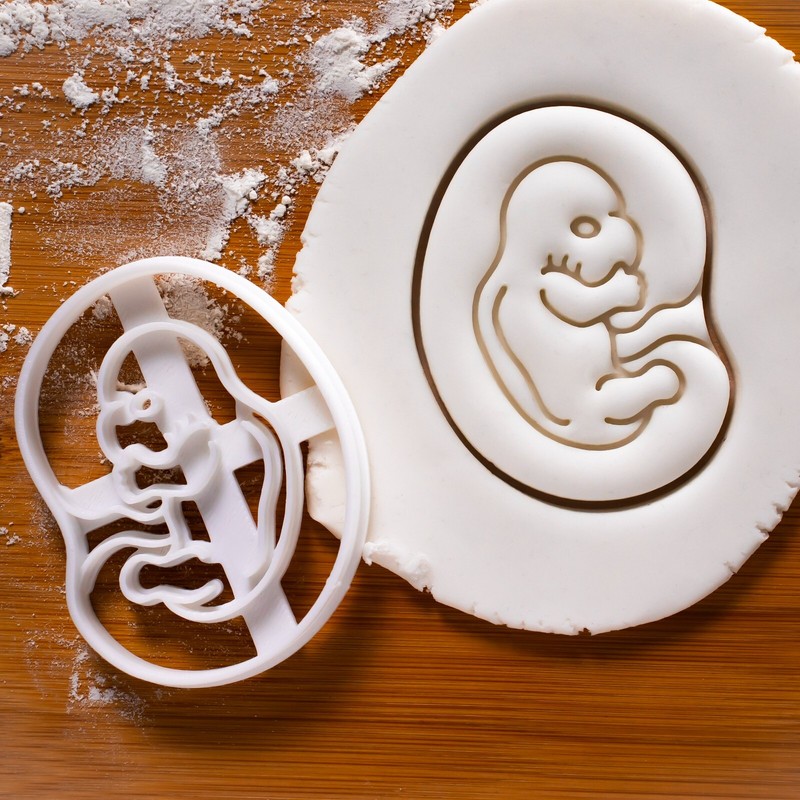 7 Weeks Fetal Development Cookie Cutter pregnancy fetus baby pregnant obstetrics