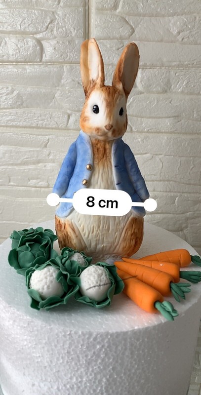 EDIBLE VERY LARGE PETER RABBIT CAKE TOPPER DECORATION Birthday gallery