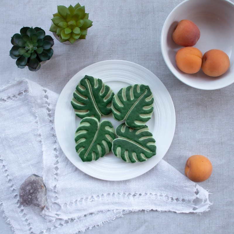 4 Garden Leaf Cookie Cutters - Monstera, Devils Ivy, Fern, Japanese Aralia Plant gallery