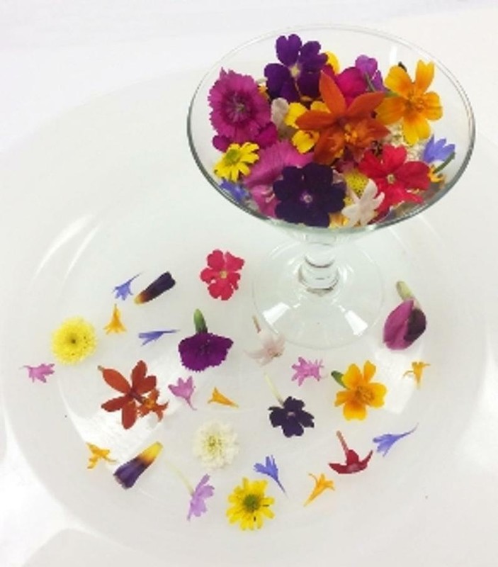 Edible Fresh Garnish Gourmet Ice Cube Blooms Free Overnight Ship WEDNESDAYS 100 gallery
