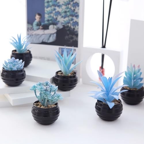 6 Pcs Blue Artificial Succulent Plants in Mini Black Plastic Blue-black Pot gallery