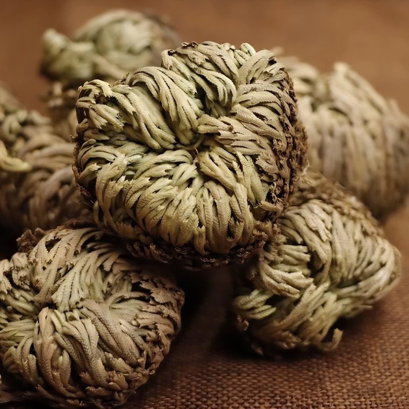 5 Pack Big 3.5" Rose of Jericho Resurrection Plants, Flor de Jerico Yellow gallery