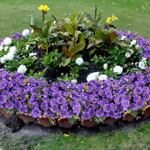12 Bundles Artificial Flowers for Outdoors Decoration, Fake Daisy Silk Purple gallery