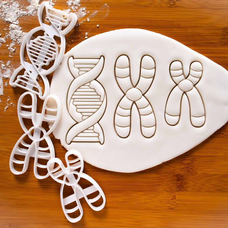 Set of 3 cookie cutters: Chromosome, Y, DNA | genetic molecule medical science