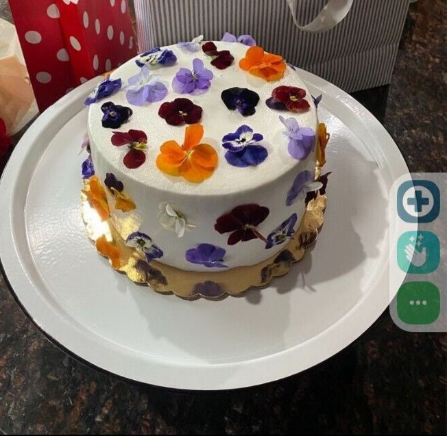 Edible Fresh Garnish Gourmet Ice Cube Blooms Free Overnight Ship WEDNESDAYS 100 gallery