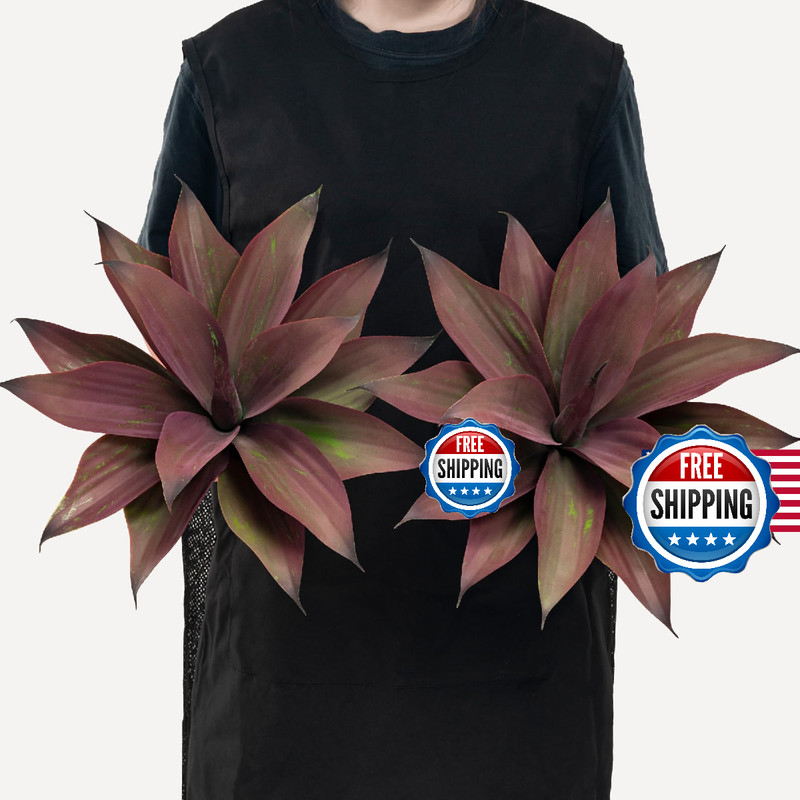 Ttranewsoo Fake Plants Artificial Agave Plants 13.8 Large Uv Resistant Fake