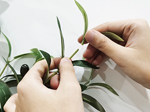 10 PCS Artificial Olive Greenery Stems Fake Plants with 72 gallery