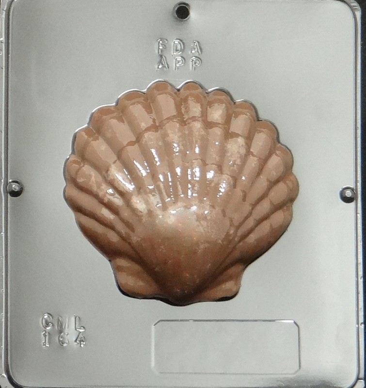 Large Sea Shell Chocolate Candy Mold Candy Making 164 NEW