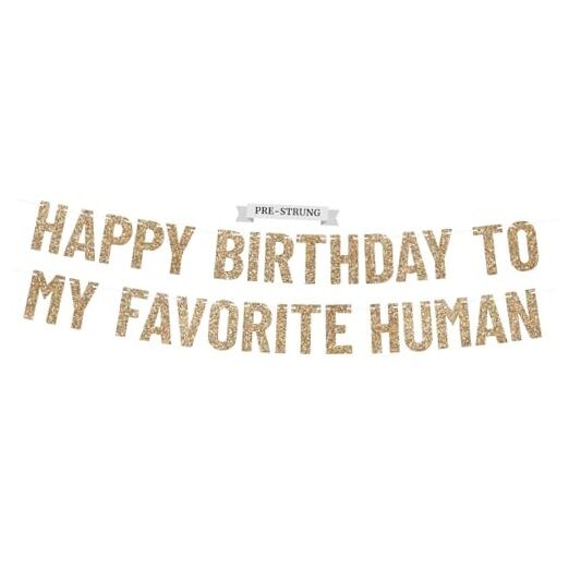 Pre-strung Happy Birthday To My Favorite Human Banner – No DIY – Gold Glitter