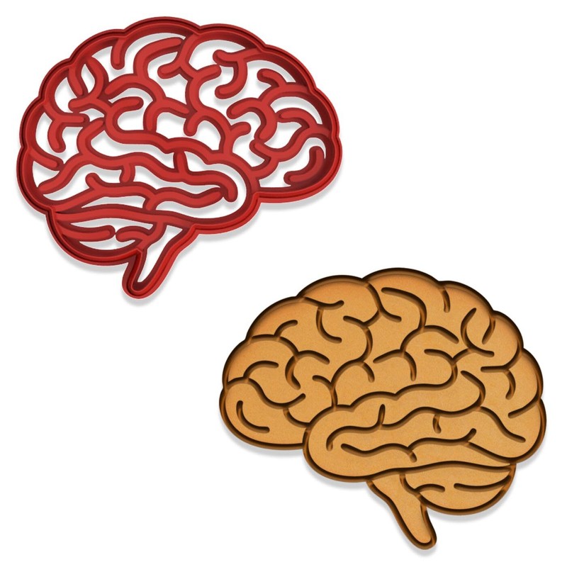 Human Brain Cookie Cutter & Stamp - 4x3.42 Inches, AnatomyThemes (Random Color) gallery