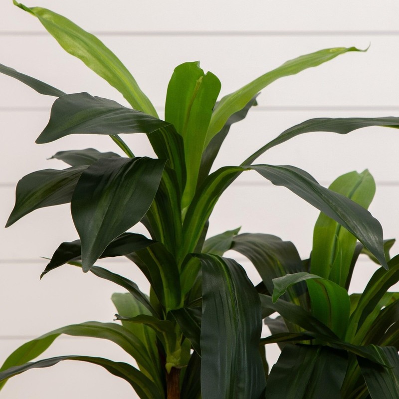 Nearly Natural 48In Artificial Dracaena Plant Real Touch Leaves And Multi Tonal gallery