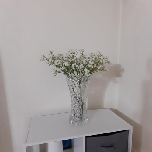 6-Pcs 21” Secure-Stem Realistic Artificial White Babys Breath (Gypsophila) gallery