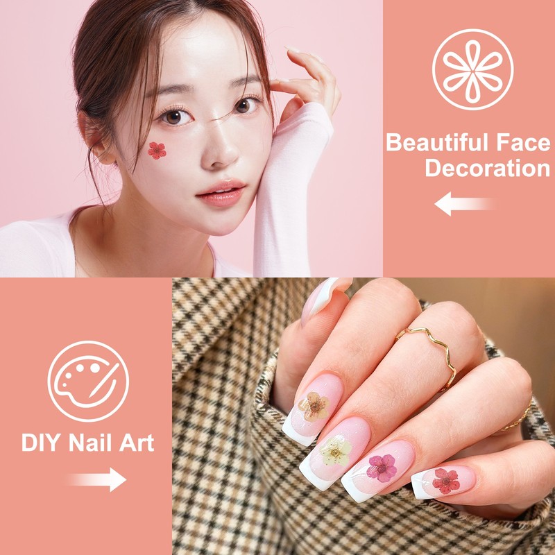 40Pcs Dried Pressed Flowers, Narcissus Flowers for Nail Art, Purple gallery