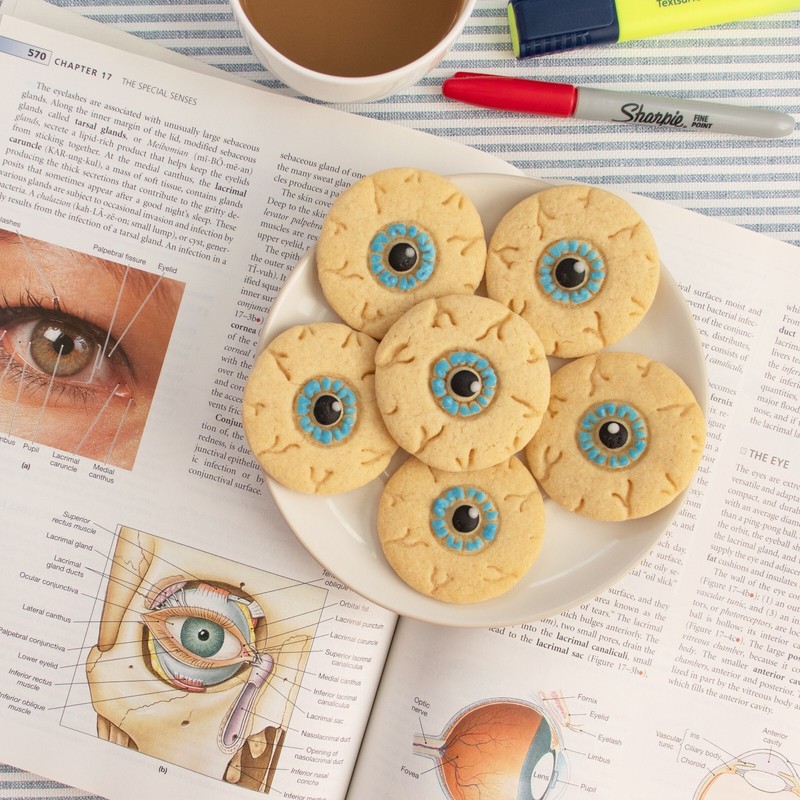 Set of 2 Eyeball Cookie Cutters -eye anatomy Ophthalmology Halloween optometrist gallery