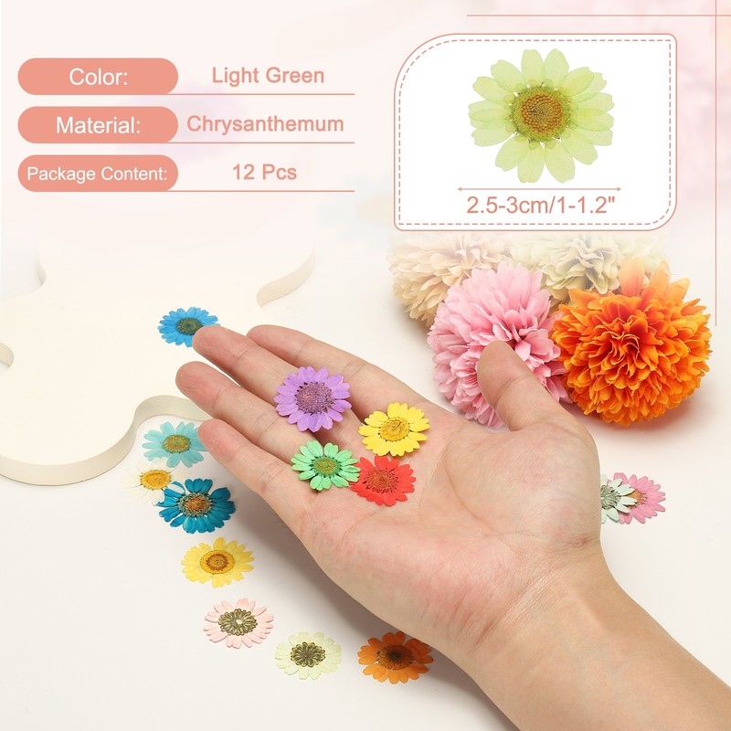 12Pcs Dried Pressed Flowers, Chrysanthemum Flowers for Nail Art, Light Green gallery