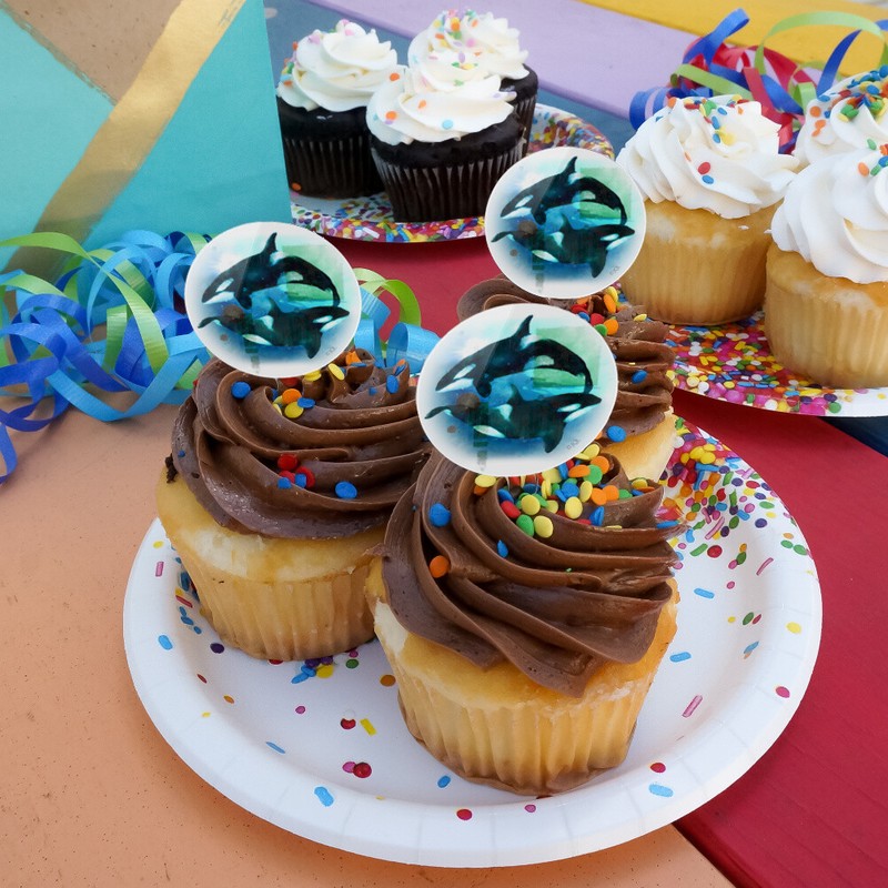 Orcas Killer Whales Watercolor Yin Yang Cupcake Picks Toppers Set of 6 gallery