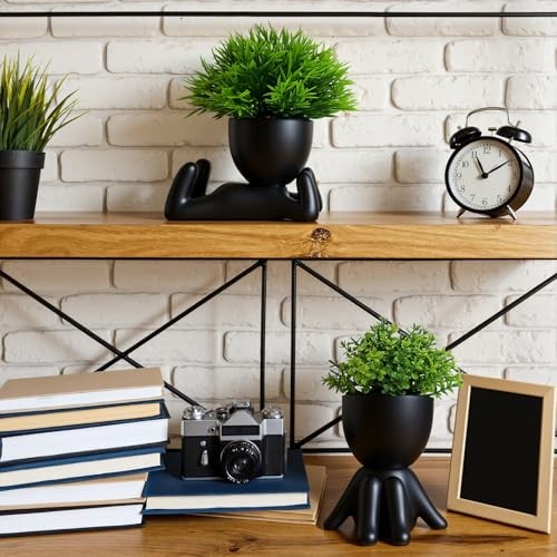 Black 2 pcs Fake Plants, Small Artificial Plants, Faux Plants Indoor for C gallery