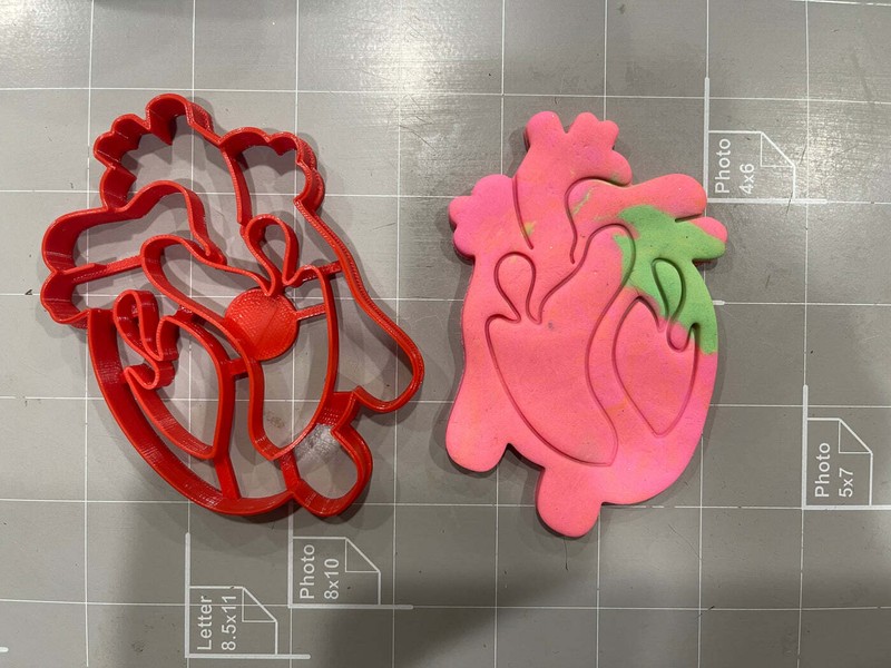 Heart anatomy Cookie Cutter gallery
