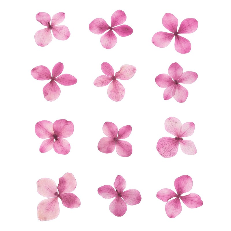 48 Pcs Dried Pressed Flower for Resin DIY Crafts Decors Purple Red