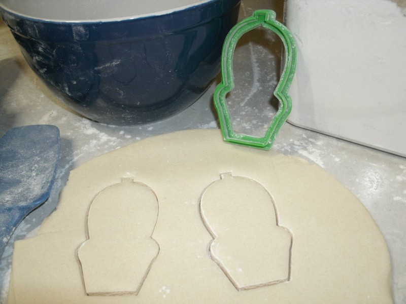 3 CACTI CACTUS DESERT LANDSCAPING DROUGHT TOLERANT PLANT COOKIE CUTTER PR1016 gallery
