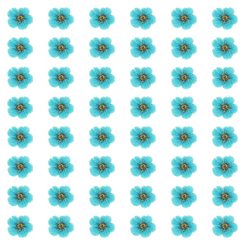 100Pcs Dried Pressed Flowers, Narcissus Flowers for Nail Art, Lake Blue
