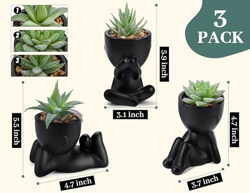 3pcs Fake Succulents Plants Artificial for Black Bathroom Bedroom Home Room gallery