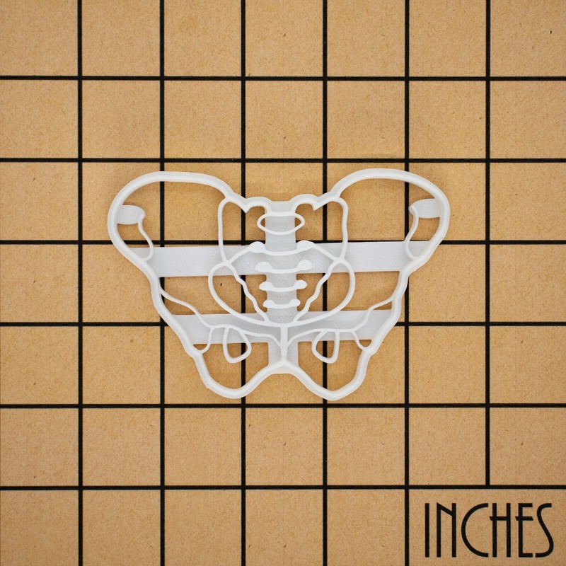 Female Pelvis Cookie Cutter - hip bone pelvic skeleton anatomy xray O&G doctor gallery