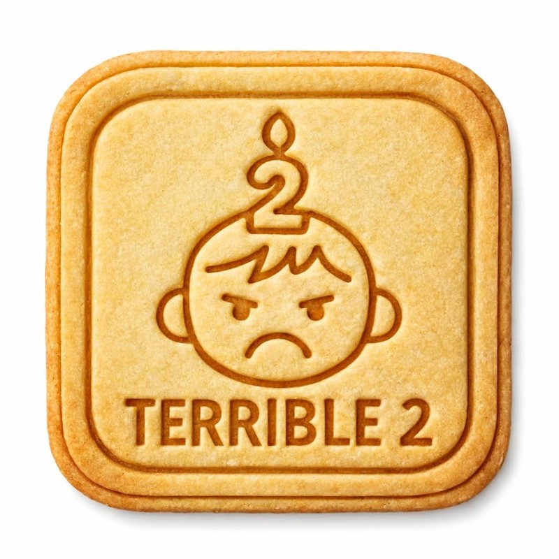 Crying Terrible 2 Cookie Cutter & Stamp, Fondant & Clay – 3.9×4″