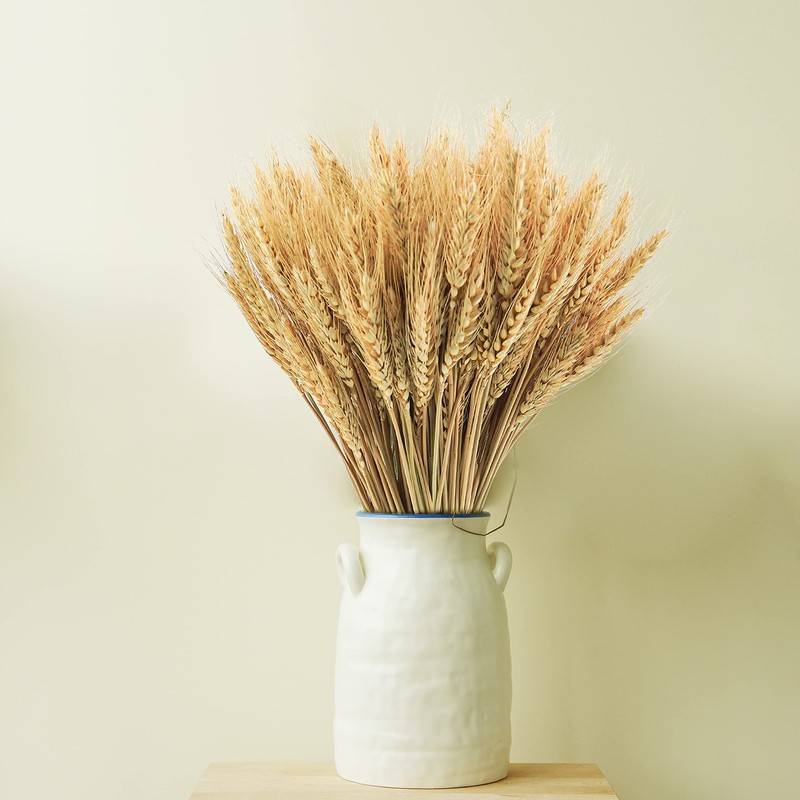 Phliofd 600 Natural Dried Wheat Stalks 18" Wheat Grass Bundle Wedding Decor gallery