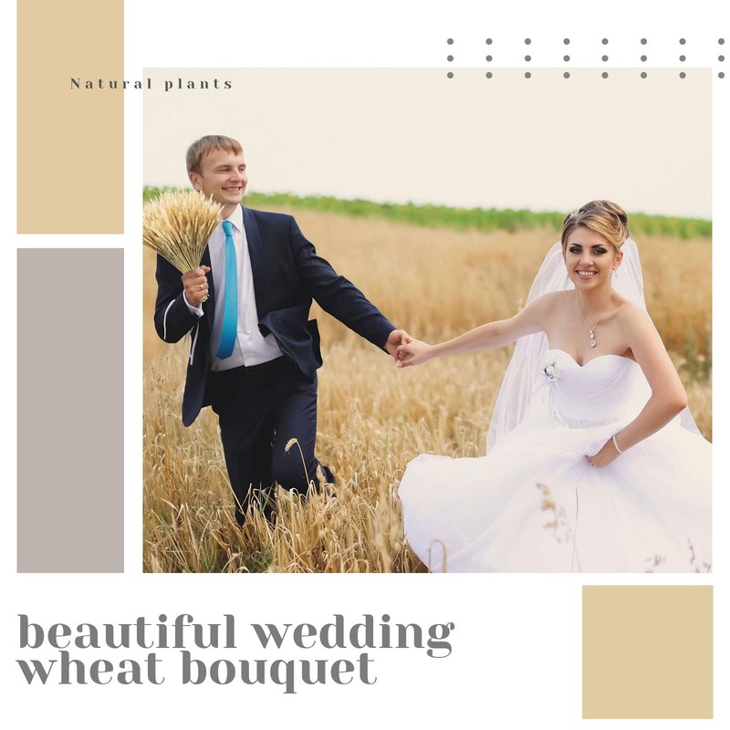 Geosar 1600 Stems Dried Wheat Stalks For Decor Natural Wheat Grass Sheaves gallery