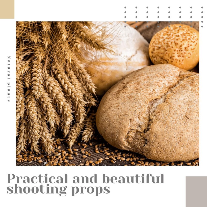 Geosar 1600 Stems Dried Wheat Stalks For Decor Natural Wheat Grass Sheaves gallery