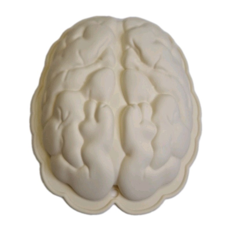 Brain Silicone Mold Halloween Spooky Funny Mold Biology
